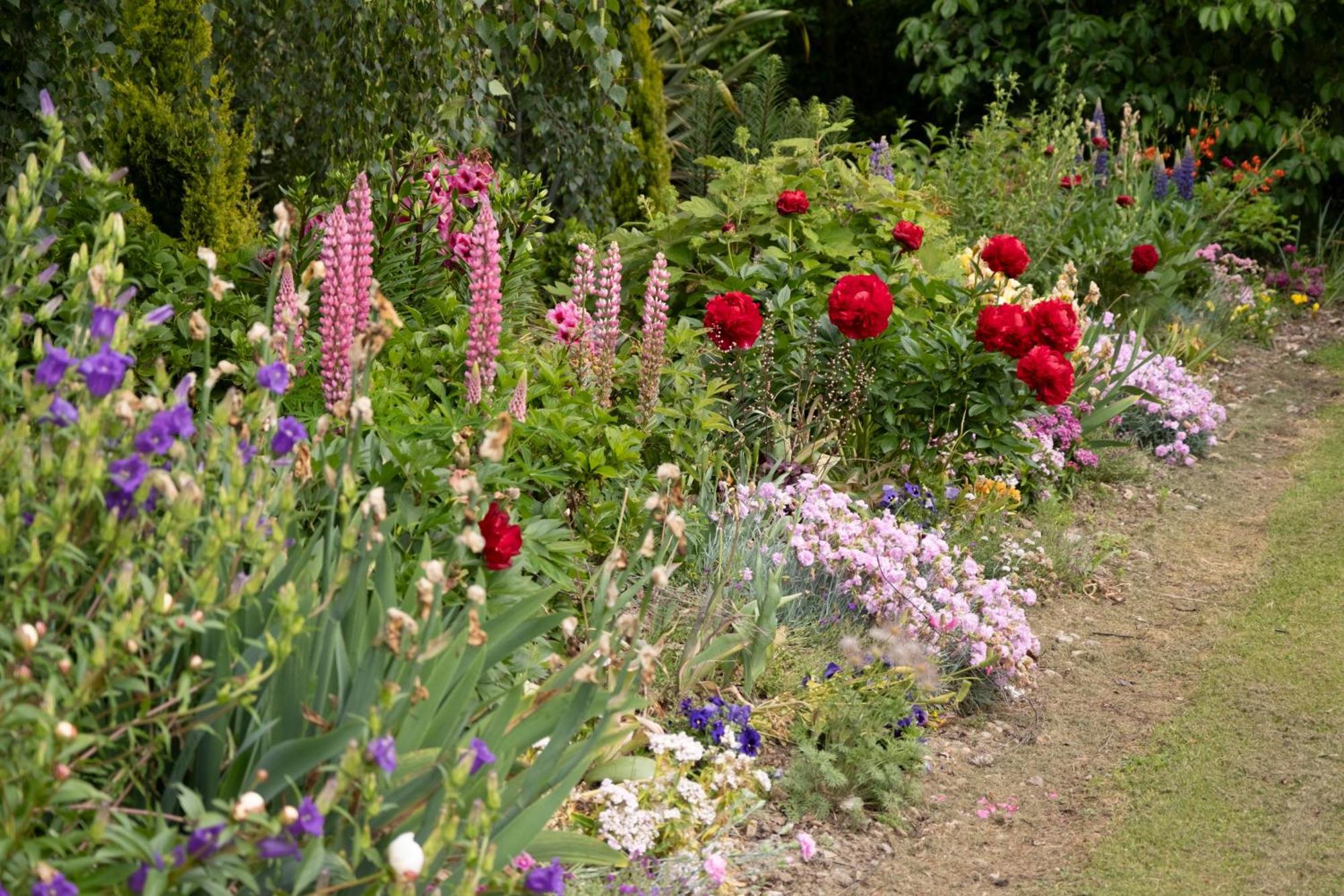 Benger Garden Chalets Millers Flat Buitenkant foto